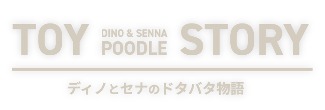 ディノとセナのドタバタ物語