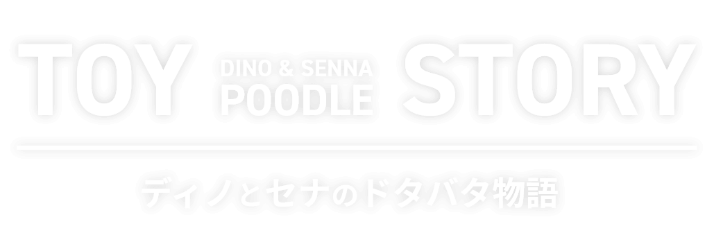 ディノとセナのドタバタ物語